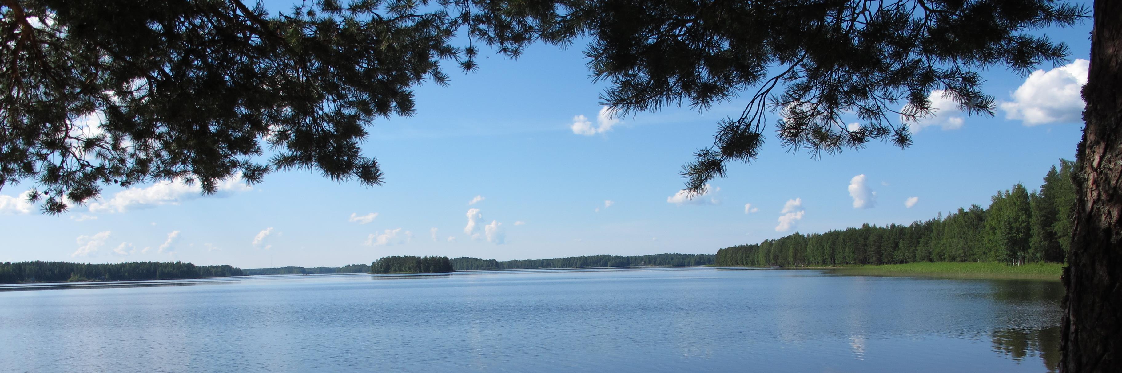 TuuliOinonen's profile banner image