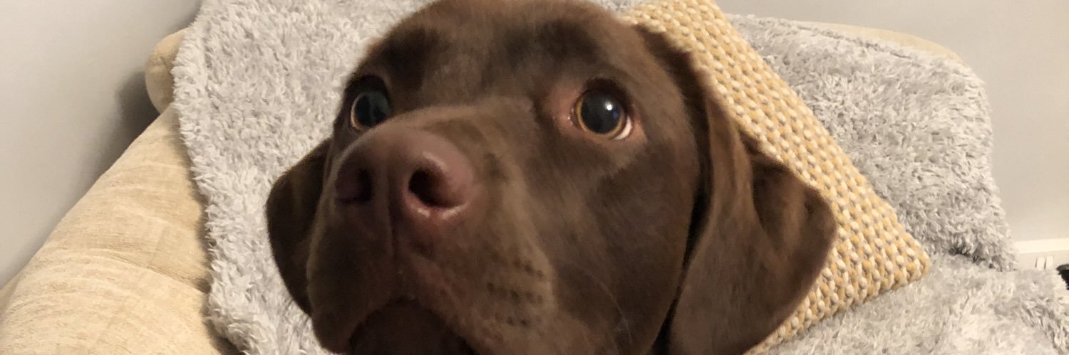 xx_bronny's profile banner image