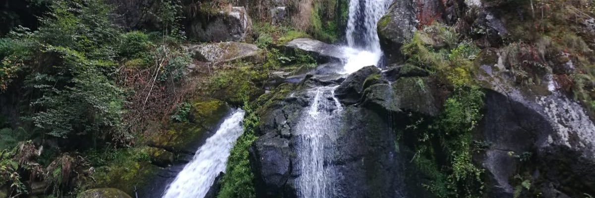 GSolp's profile banner image