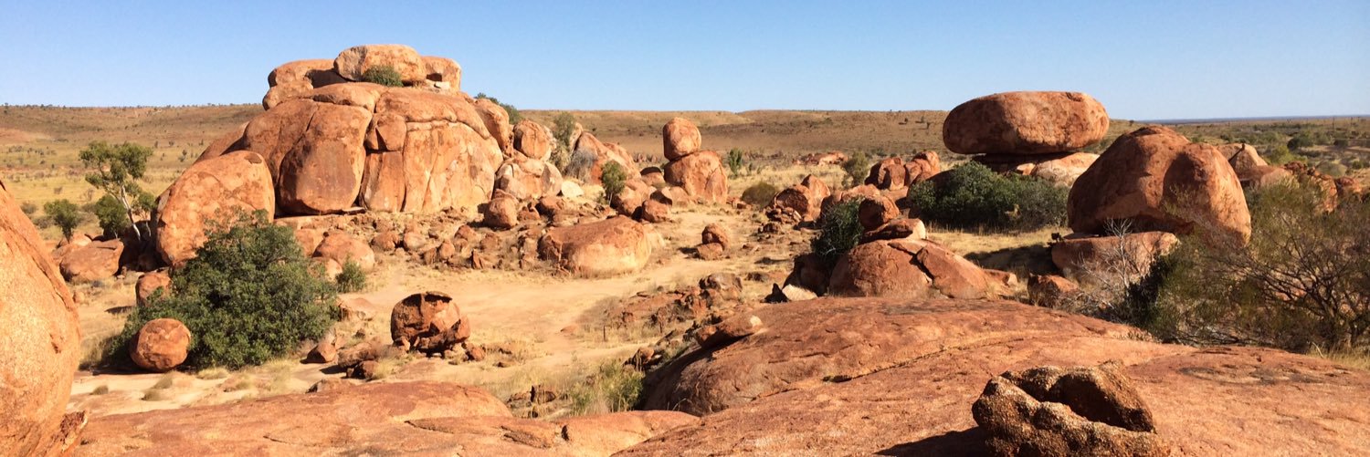 Steve Edgington MLA banner