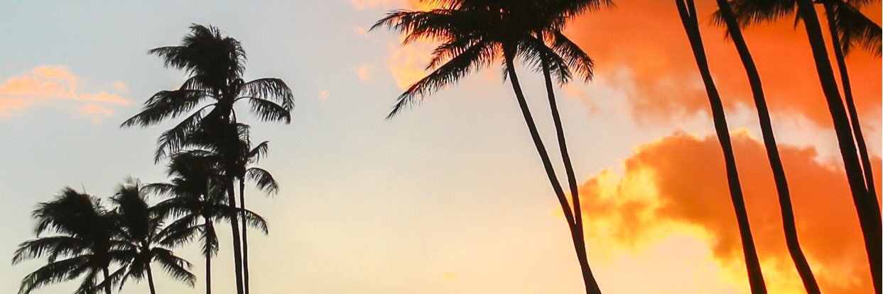 jeppeph's profile banner image