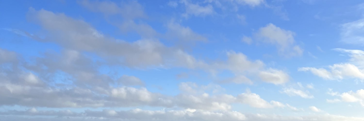 ali5onc00k's profile banner image