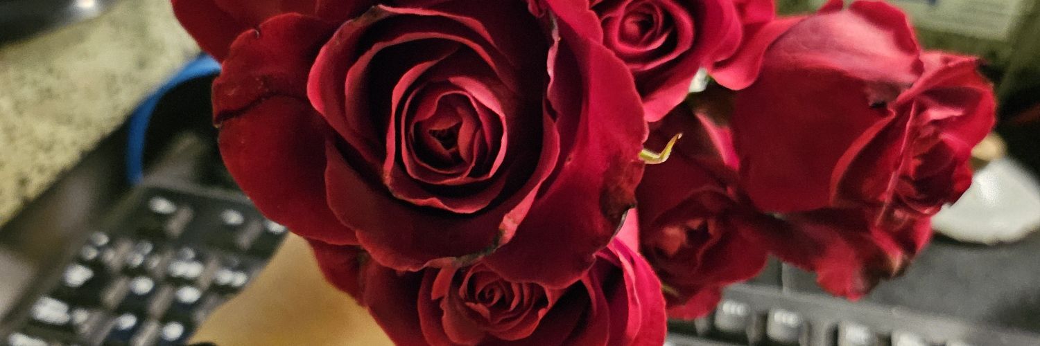 Arianluys's profile banner image