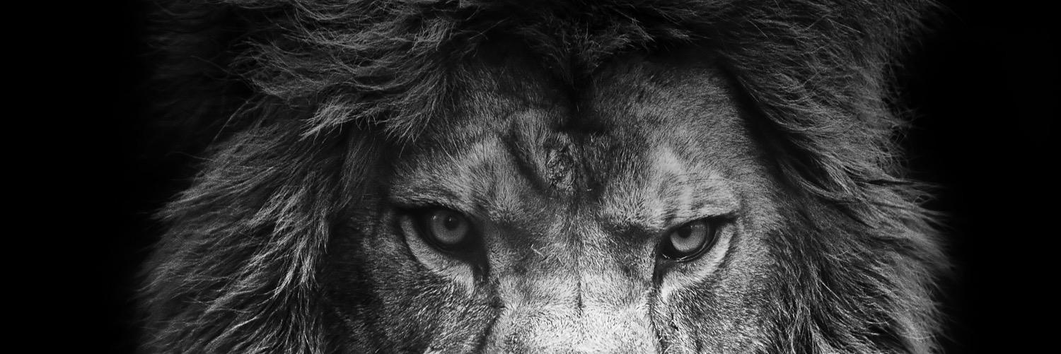 Bu_3aRF's profile banner image