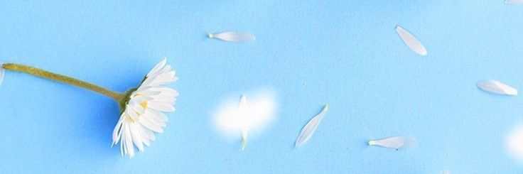 rahmirrd's profile banner image