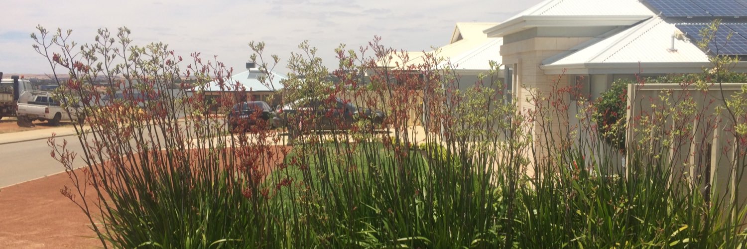 Dr. Geoff Anderson banner