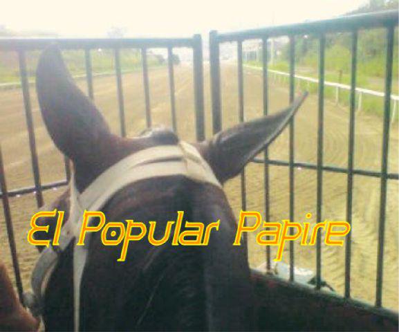 papire22's profile banner image