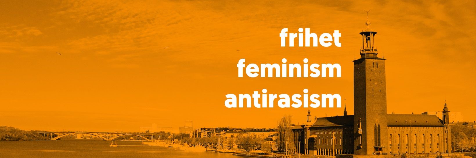 LUF Storstockholm banner
