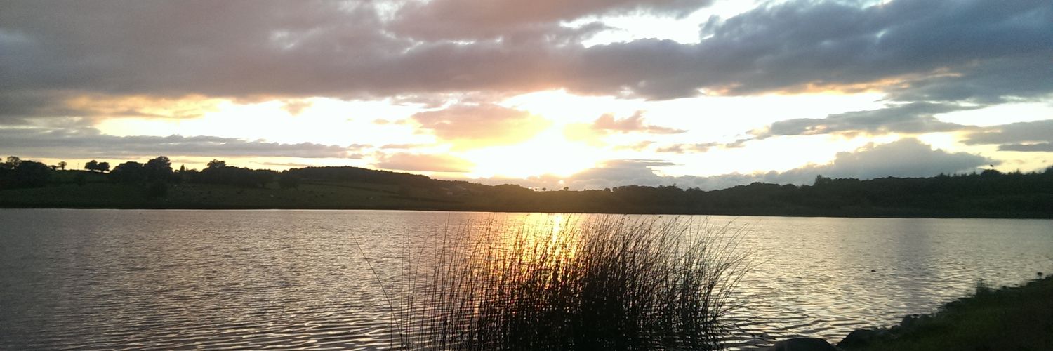 David Warrington banner