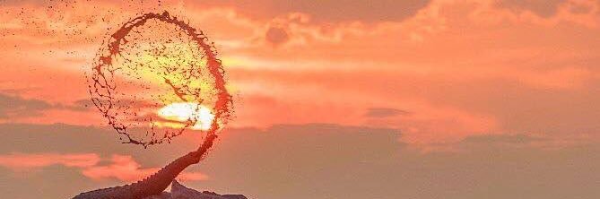 Bobby_D1's profile banner image