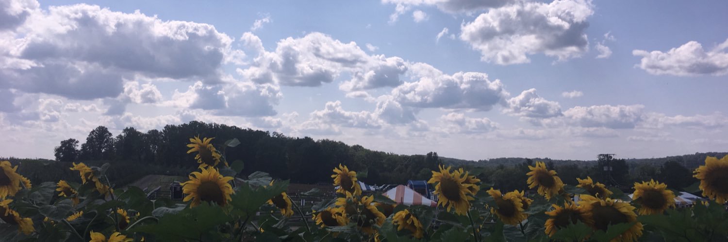 TarynDiG02's profile banner image