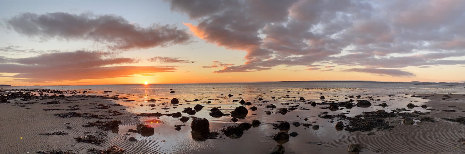 Bacterial Cities banner