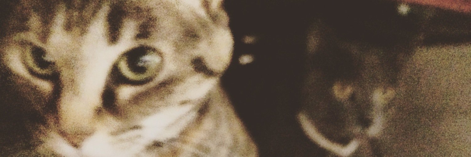 kazune81's profile banner image