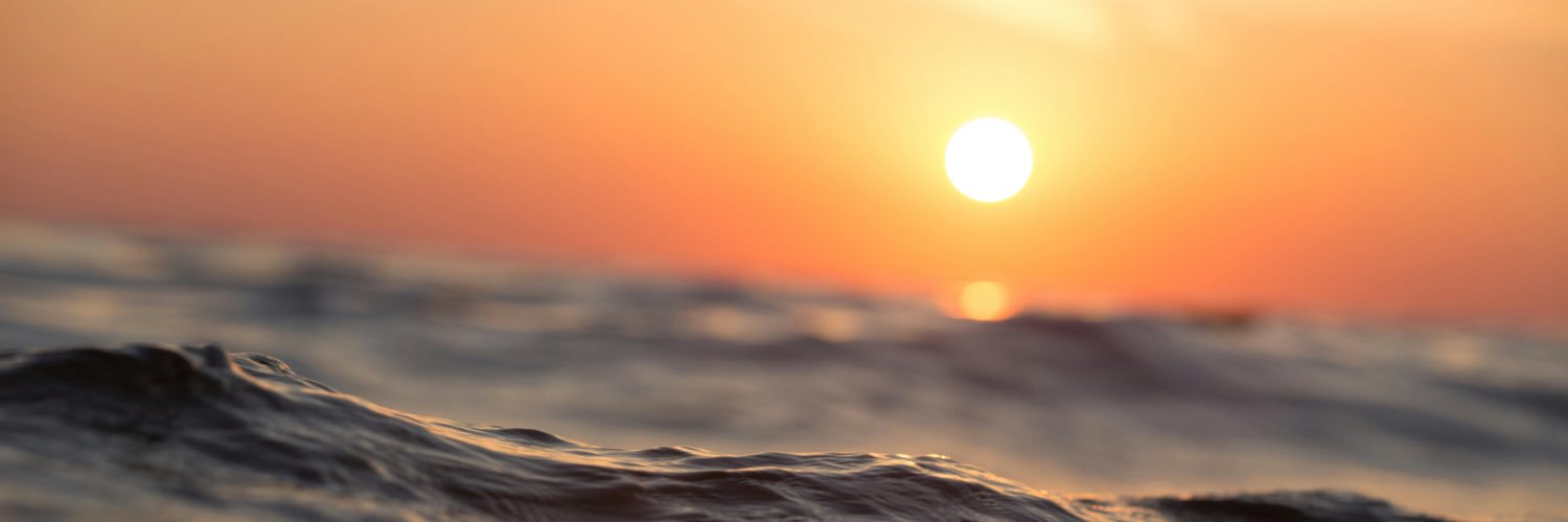 TryingToTriatlonWim banner