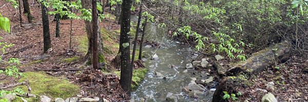 RhysElla_author Profile Banner