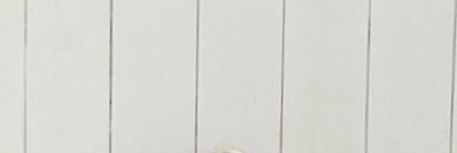 BeckasEyebrows's profile banner image