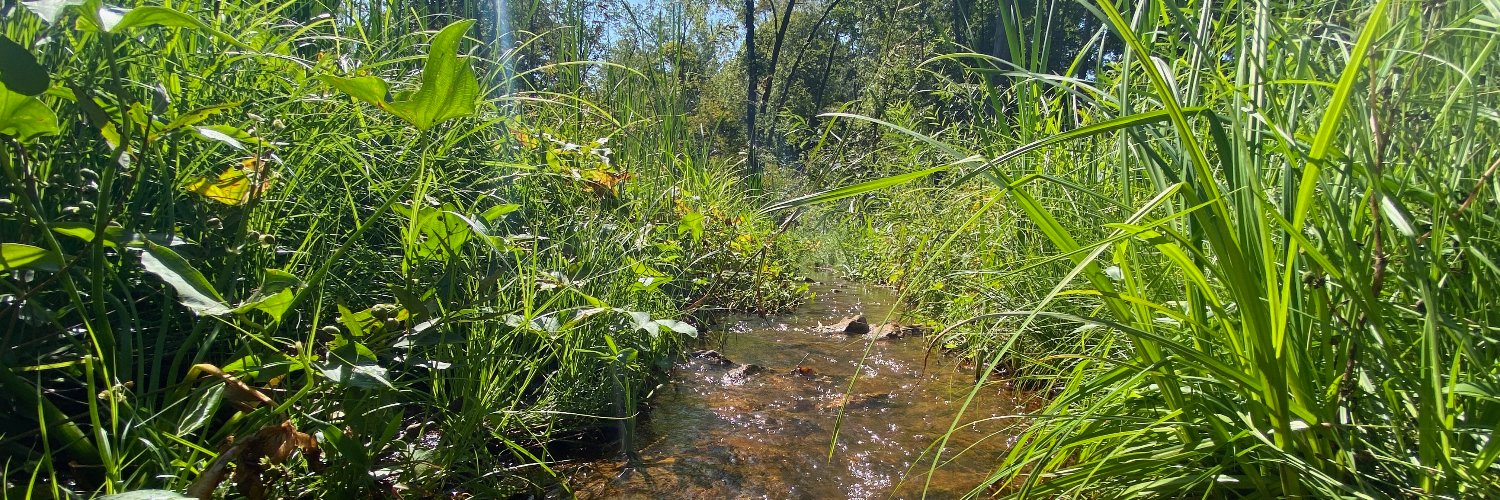 AAC Bureau of Watershed Protection and Restoration banner
