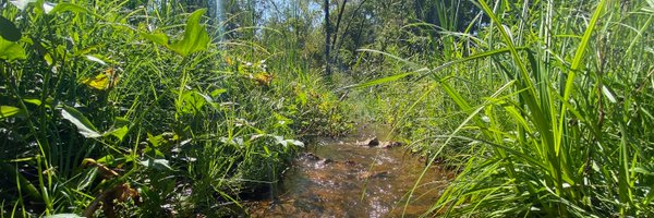 AAWPRP Profile Banner