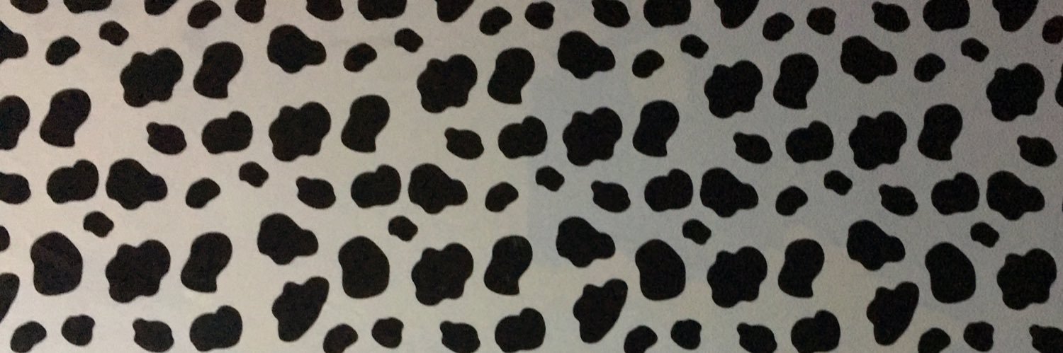chxfrulydex's profile banner image