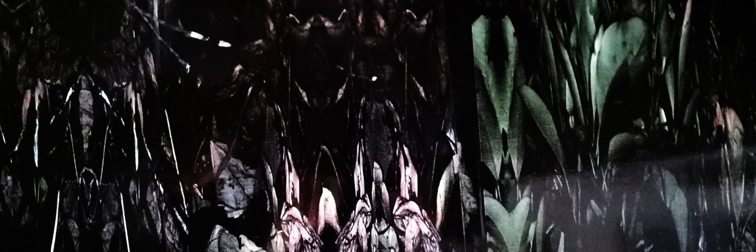thomaswintle1's profile banner image