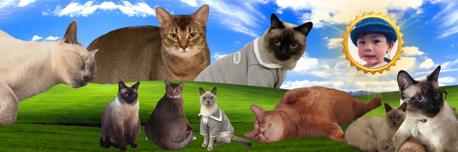 KnomTakoLover's profile banner image