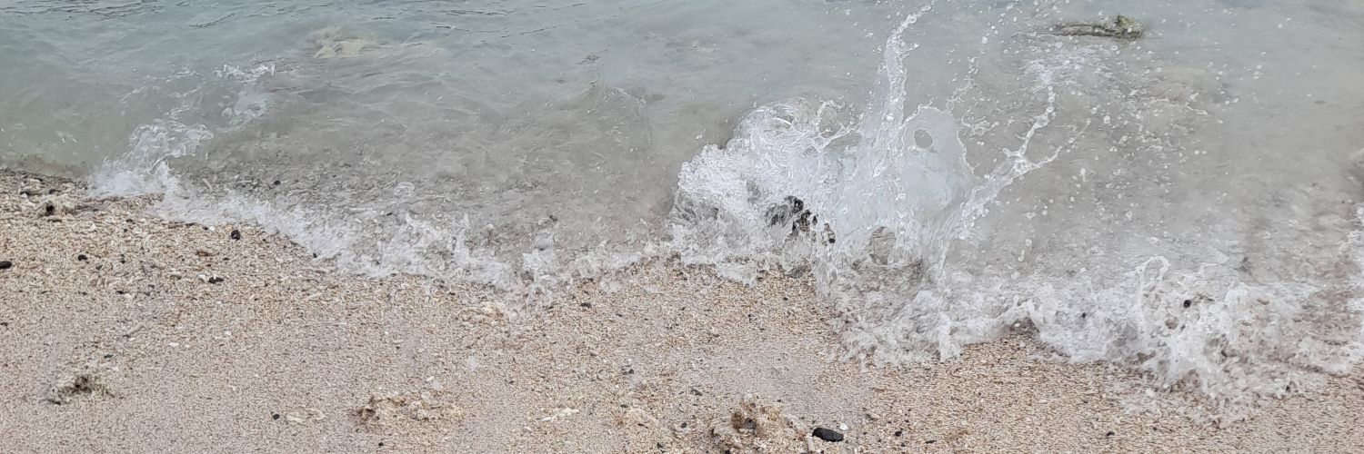 anysaskr's profile banner image