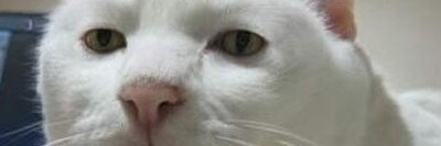 RogerTheGrouch's profile banner image