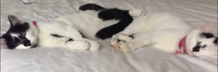 BridgetMale81's profile banner image