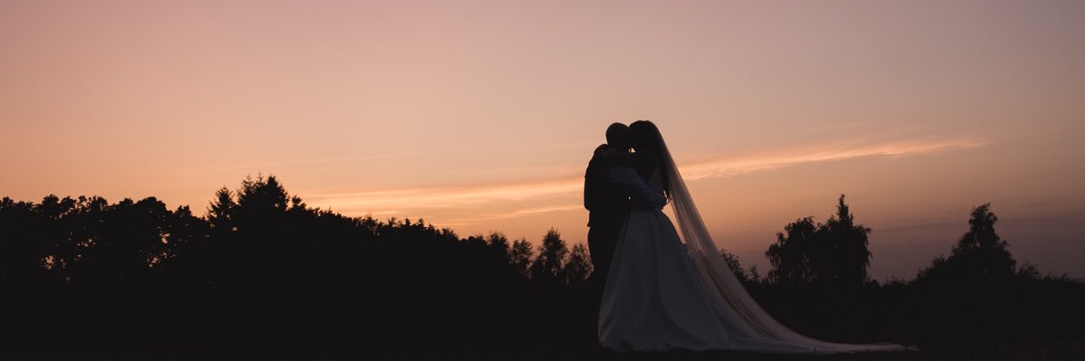 Emily Vassallo banner