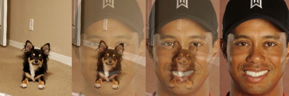 gsmane12's profile banner image