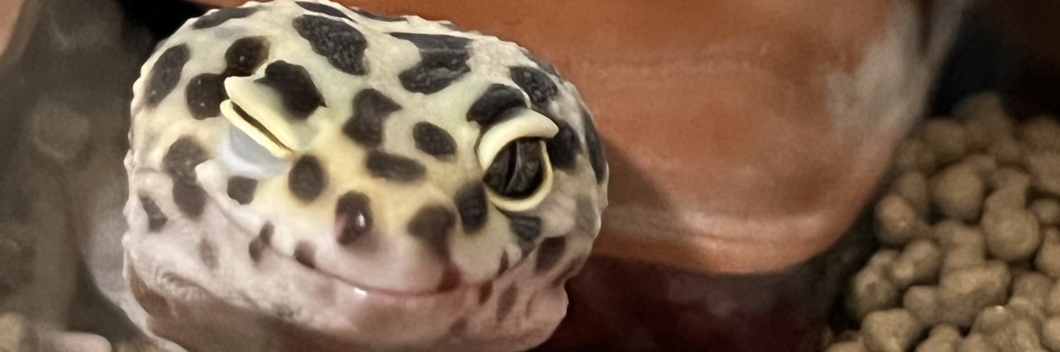 monst_kimu's profile banner image