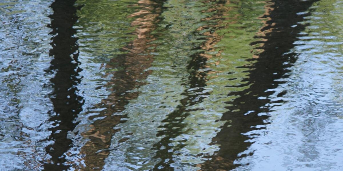 SusanCWillett's profile banner image