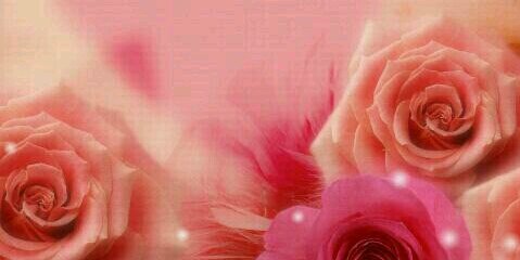 rama_hdhd's profile banner image