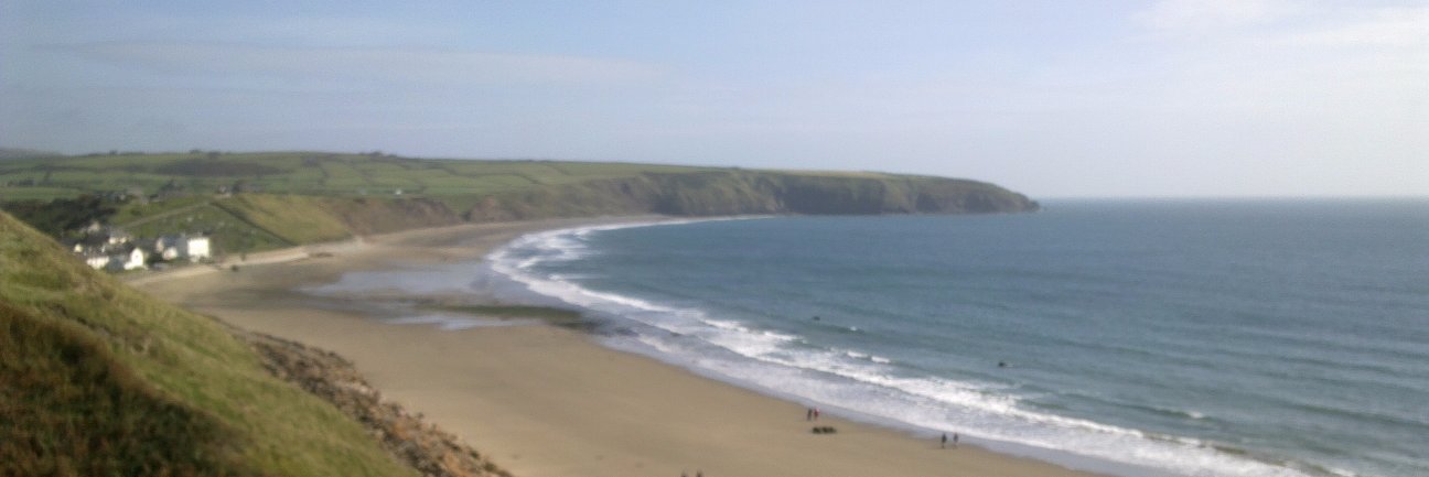 Monika Skinner banner