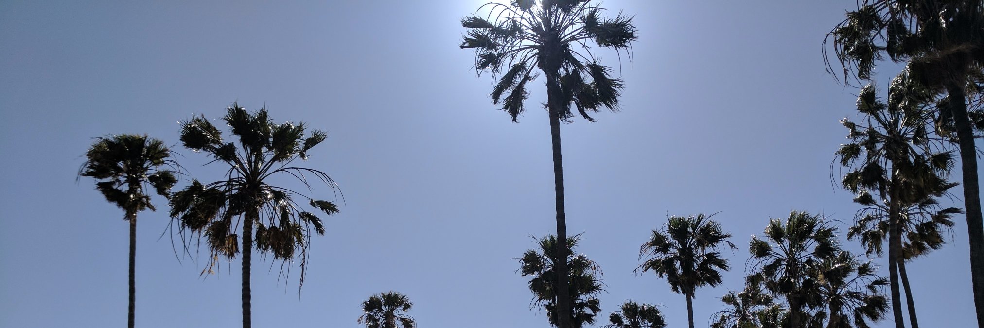 Amber Schiada banner