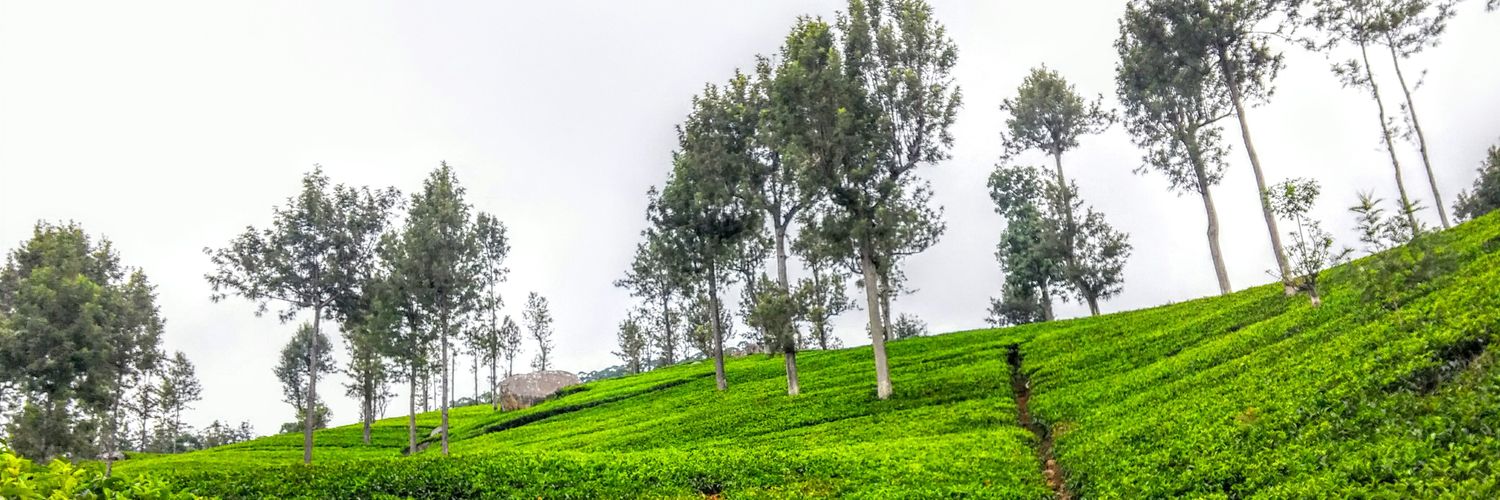 Niru_Sudar's profile banner image