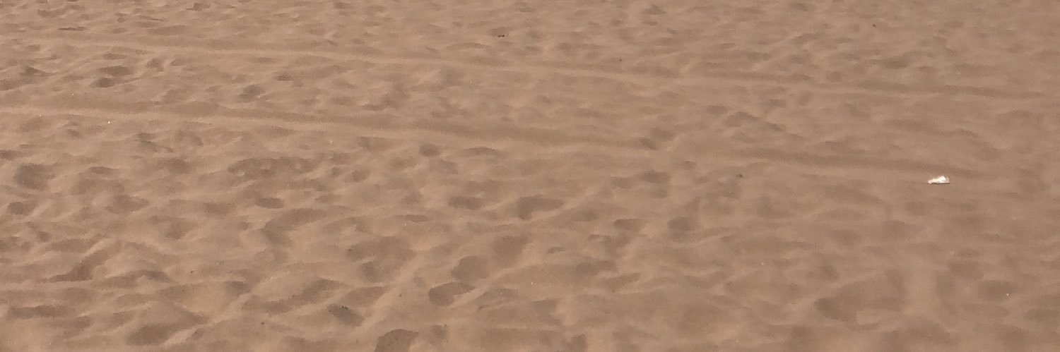 floresdeabril's profile banner image