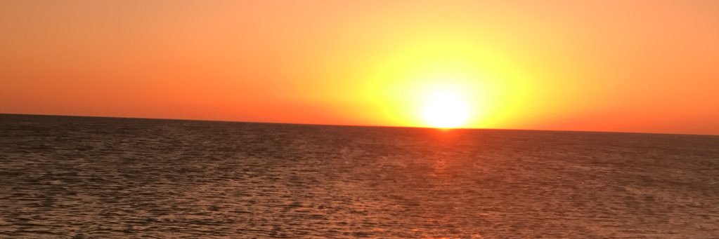 charliemorgans's profile banner image