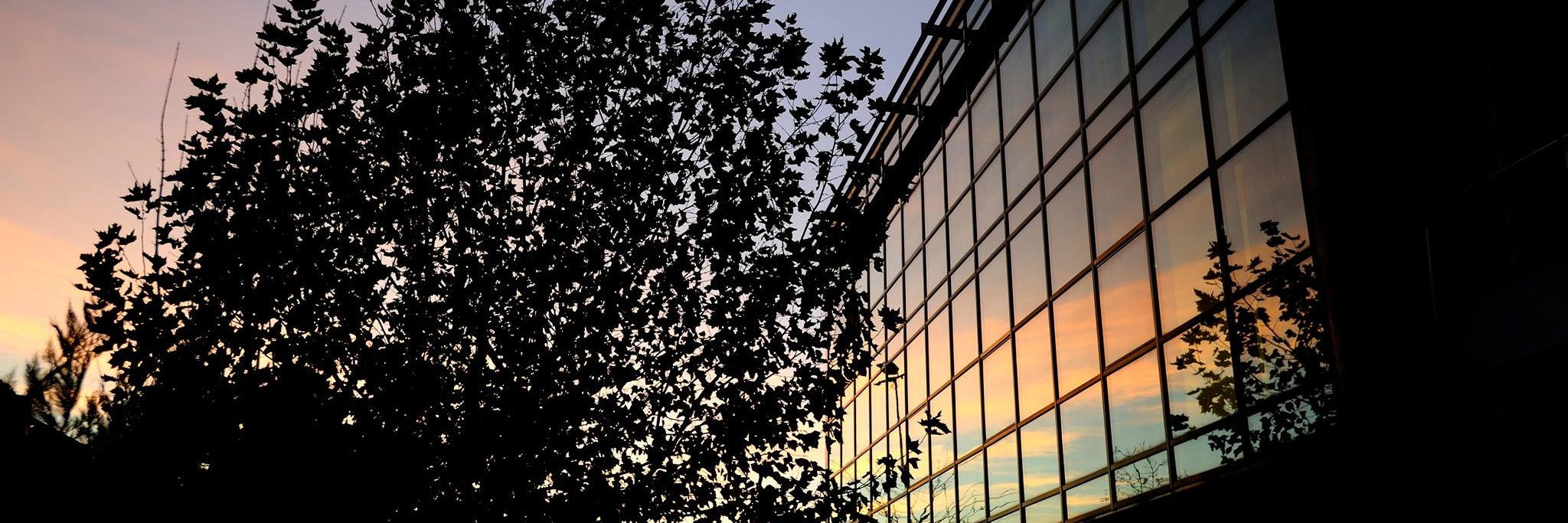 omniaenergia's profile banner image