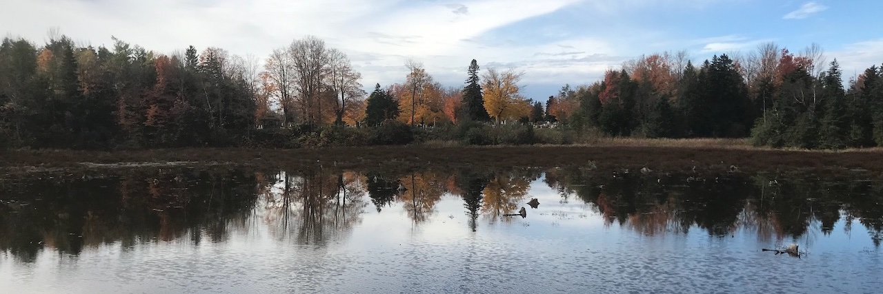 Jennifer Bryan banner