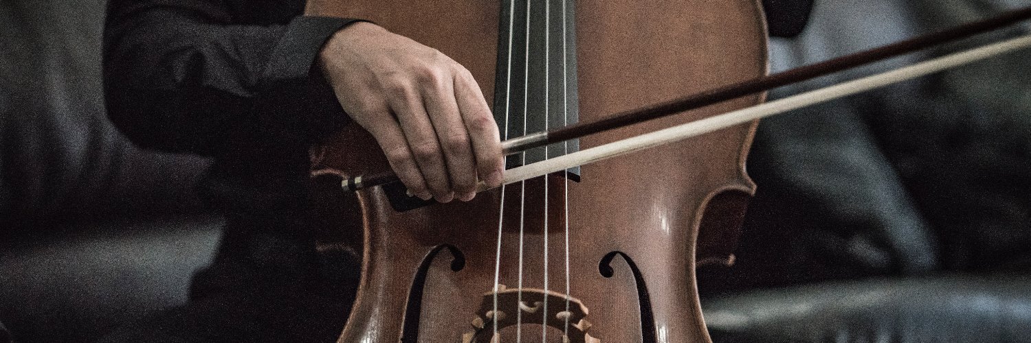 Exeter Symphony Orchestra banner