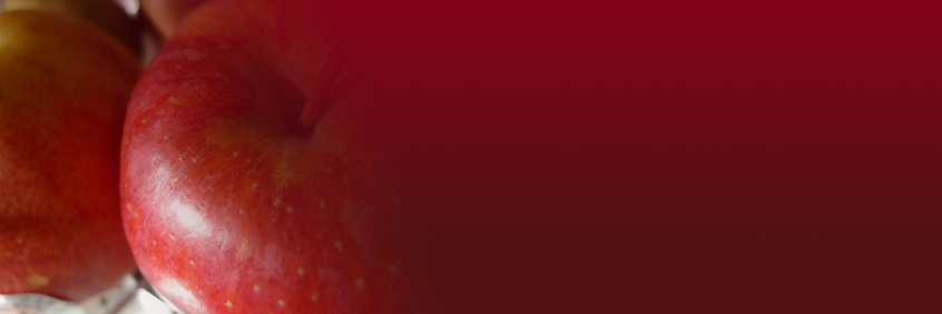 WFNF Events banner