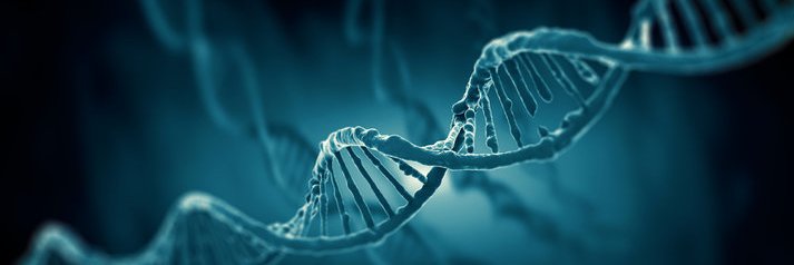 BPF_HarvardMed's profile banner image