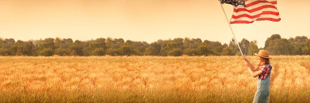 LHPublishing's profile banner image