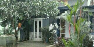 bob_purba's profile banner image