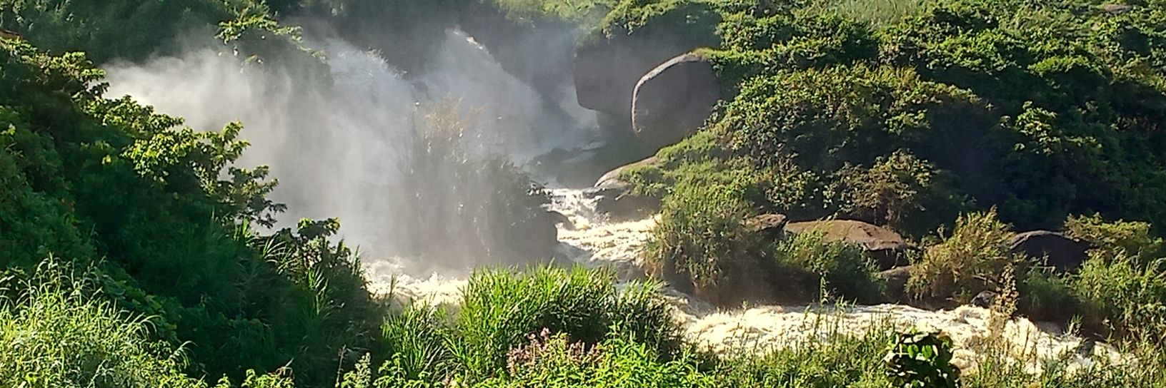 brianmakodeny's profile banner image
