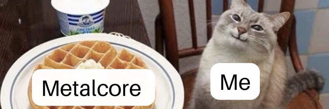aimeeramirezt's profile banner image