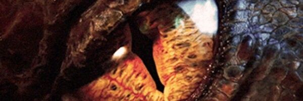 SummerBodam's profile banner image