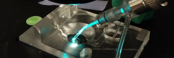 donald_chang Profile Banner