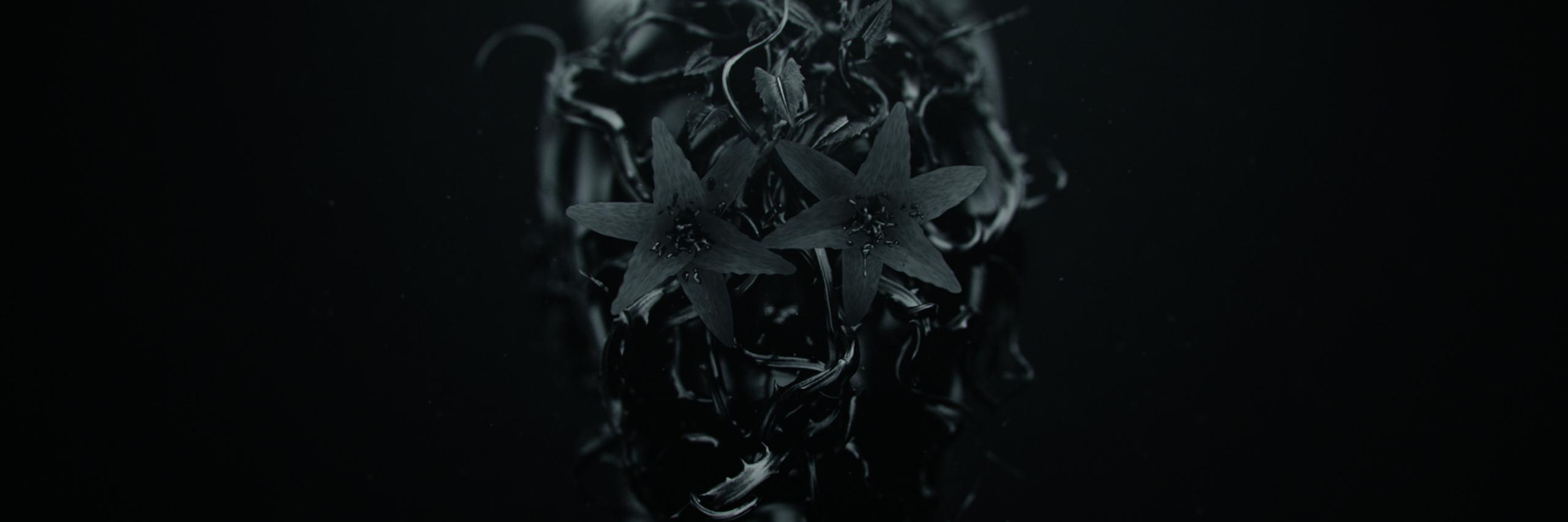 AlegasGasulla's profile banner image